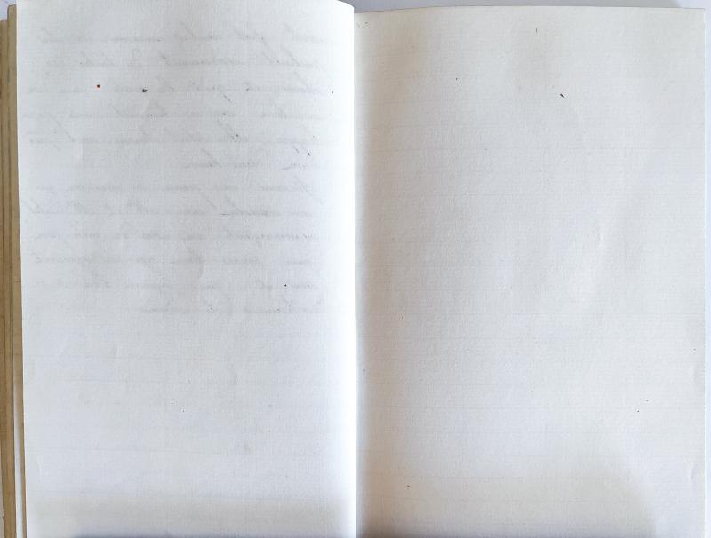 journal Albert août 1867 - 32.jpg journal Albert août 1867 - 32.jpg