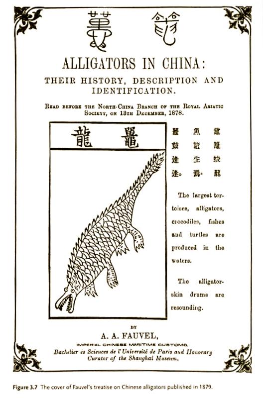 Fauvel 20250404-021.jpg Fauvel 20250404-021.jpg