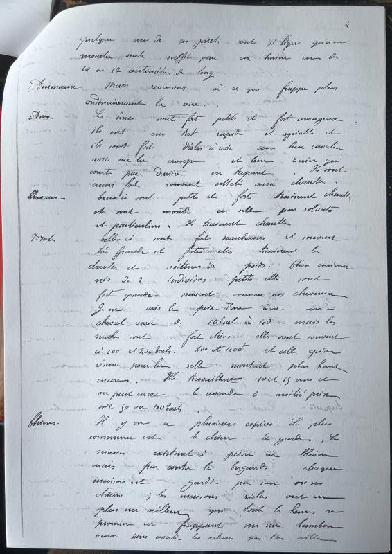 18730527 Albert à Emmanuel 08.jpg 18730527 Albert à Emmanuel 08.jpg