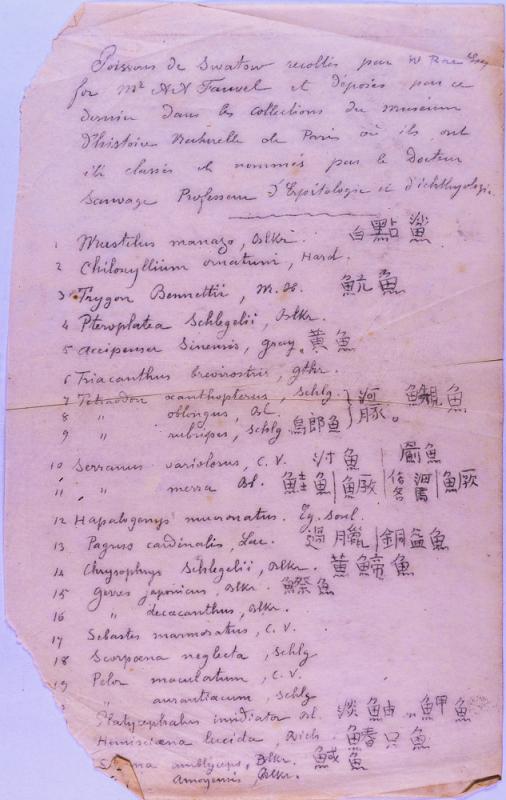 agenda Albert - 1883 - correspondances -04.jpg