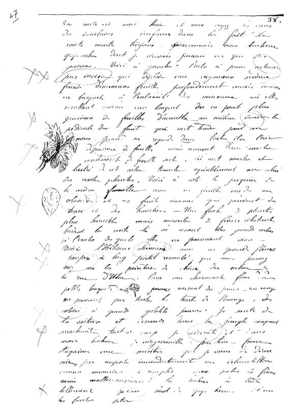journal Albert septembre 1872-07.jpg