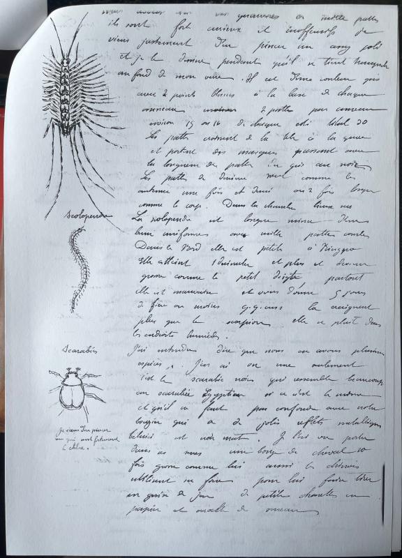 18730527 Albert à Emmanuel 07.jpg 18730527 Albert à Emmanuel 07.jpg