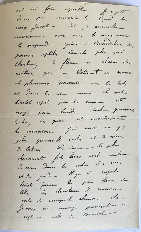 18820723 Albert à sa mère 07.jpg