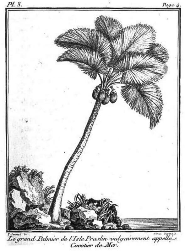 Coco fesse 20250405-021.jpg