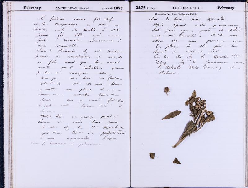 agenda Albert - février 1877 - 08.jpg