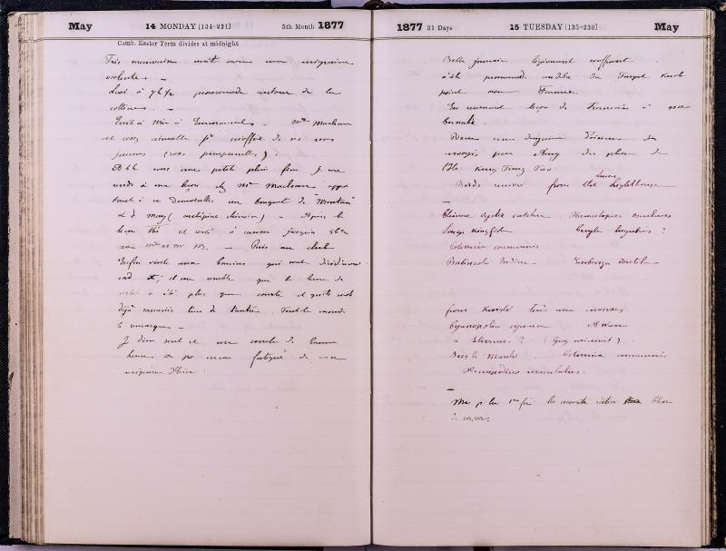 agenda Albert - mai 1877 - 09.jpg