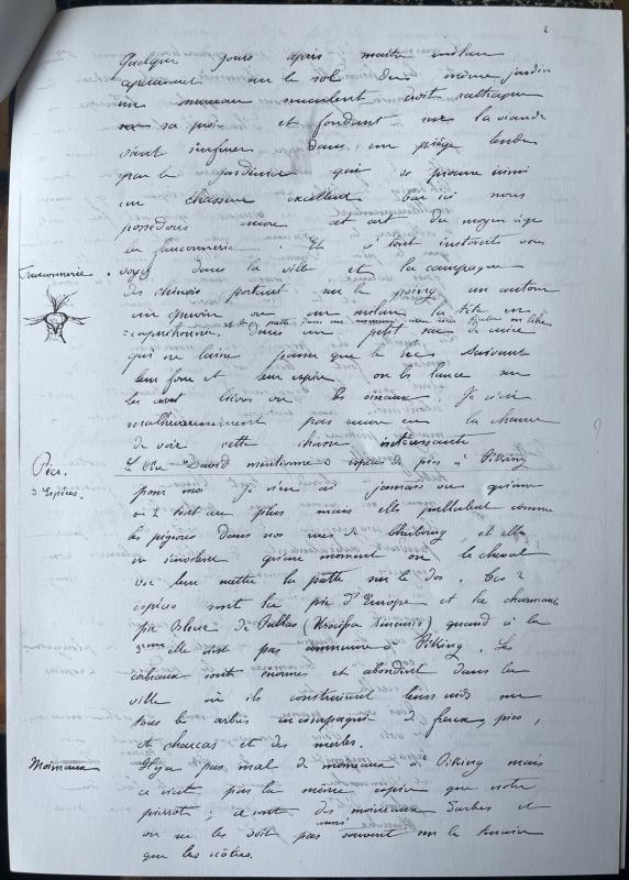 18730527 Albert à Emmanuel 04.jpg 18730527 Albert à Emmanuel 04.jpg