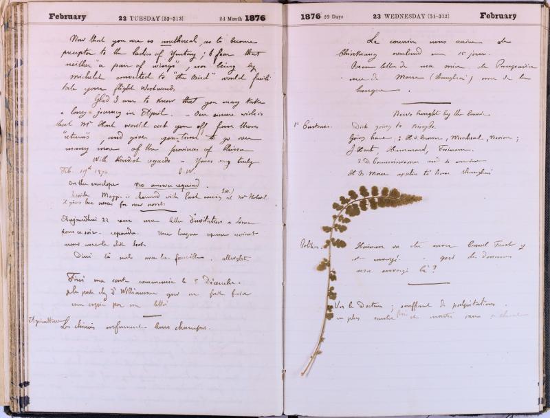 agenda Albert - février 1876 - 10.jpg