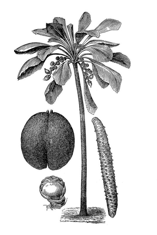 Coco fesse 20250405-019.jpg