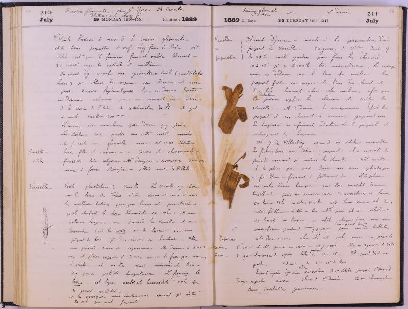 journal Albert juillet 1889 15.jpg journal Albert juillet 1889 15.jpg