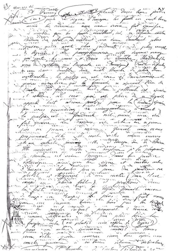 journal Albert septembre 1872-29.jpg