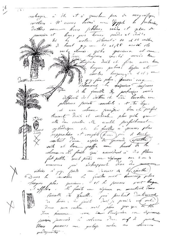 journal Albert septembre 1872-06.jpg