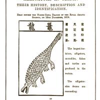 Fauvel 20250404-021.jpg