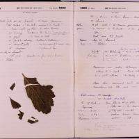 journal Albert juillet 1889 13.jpg