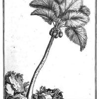 Coco fesse 20250405-021.jpg