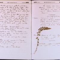 agenda Albert - février 1876 - 10.jpg