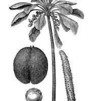 Coco fesse 20250405-019.jpg