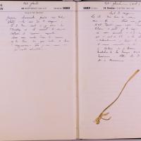 journal Albert juillet 1889 07.jpg