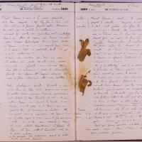 journal Albert juillet 1889 15.jpg